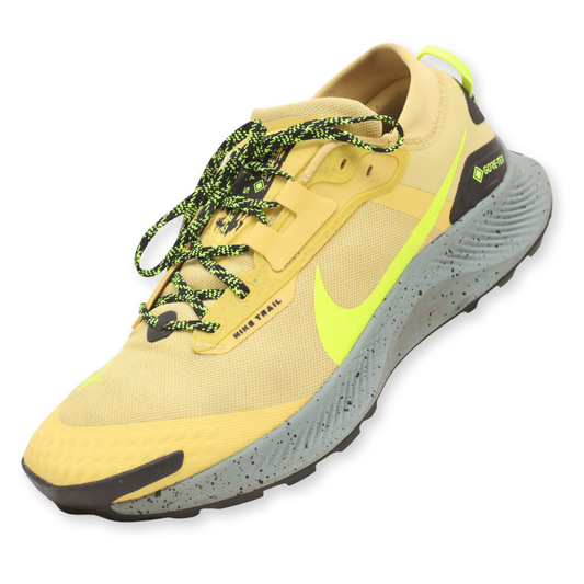 Nike Pegasus Trail 3 Gore-Tex