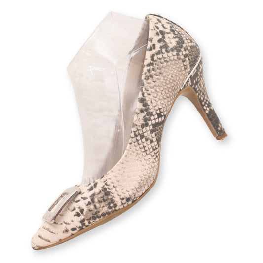 Jones New York Snake Print kitten Pumps