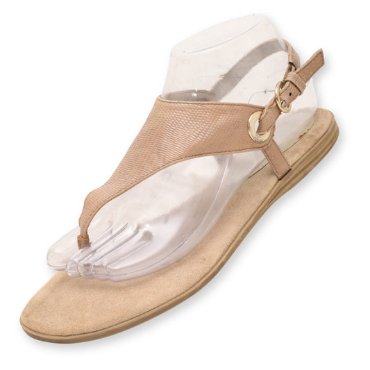 AK Sport Buckle Strap Flat Sandal