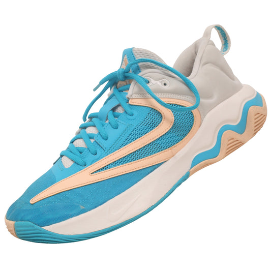 Nike Giannis Immortality 3 basketball