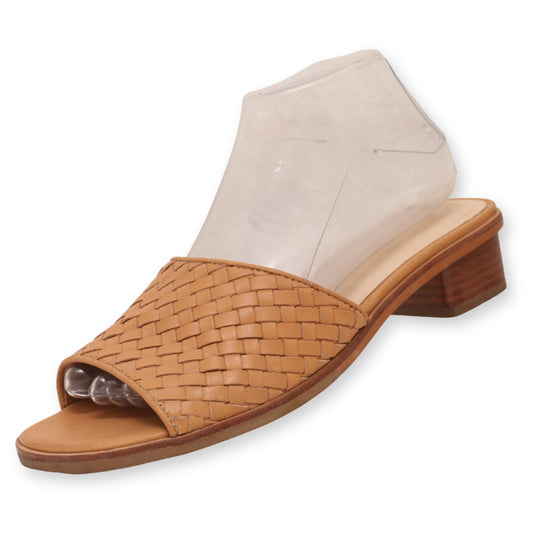 Everlane Block Heel Slide Sandals