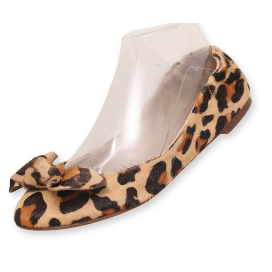 Steve Madden Women Pumps
