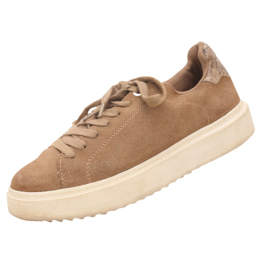 Steve Madden Women Sneaker