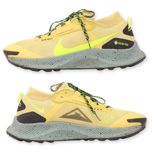 Nike Pegasus Trail 3 Gore-Tex