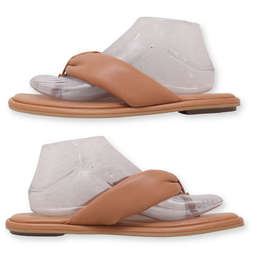 HUSH PUPPIES Flip-Flop Slippers