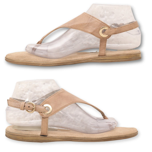 AK Sport Buckle Strap Flat Sandal