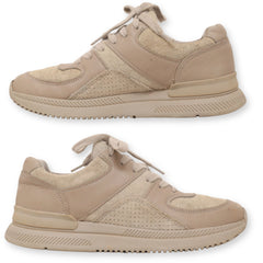 Everlane Lace-Up Women Sneaker