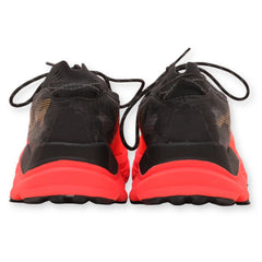 Altra Mont Blanc