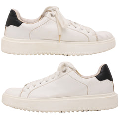 Steve Madden Lace-Up Women's Shoes