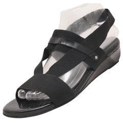 Sturat Weltizman Women's Sandals