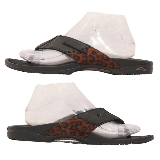 Abeo Women Slipper