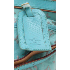 Louis Vuitton shoulder Bag