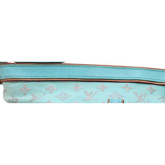 Louis Vuitton shoulder Bag