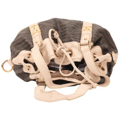 Louis Vuitton Monogram Canvas Eden Neo Bag