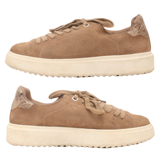 Steve Madden Women Sneaker