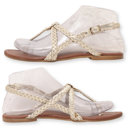 Steve Madden Women Sandal